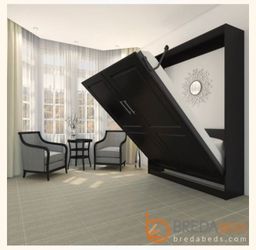 Queen size Murphy bed $500