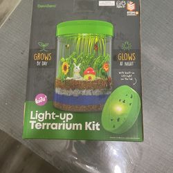 Light Up Terrarium Kit