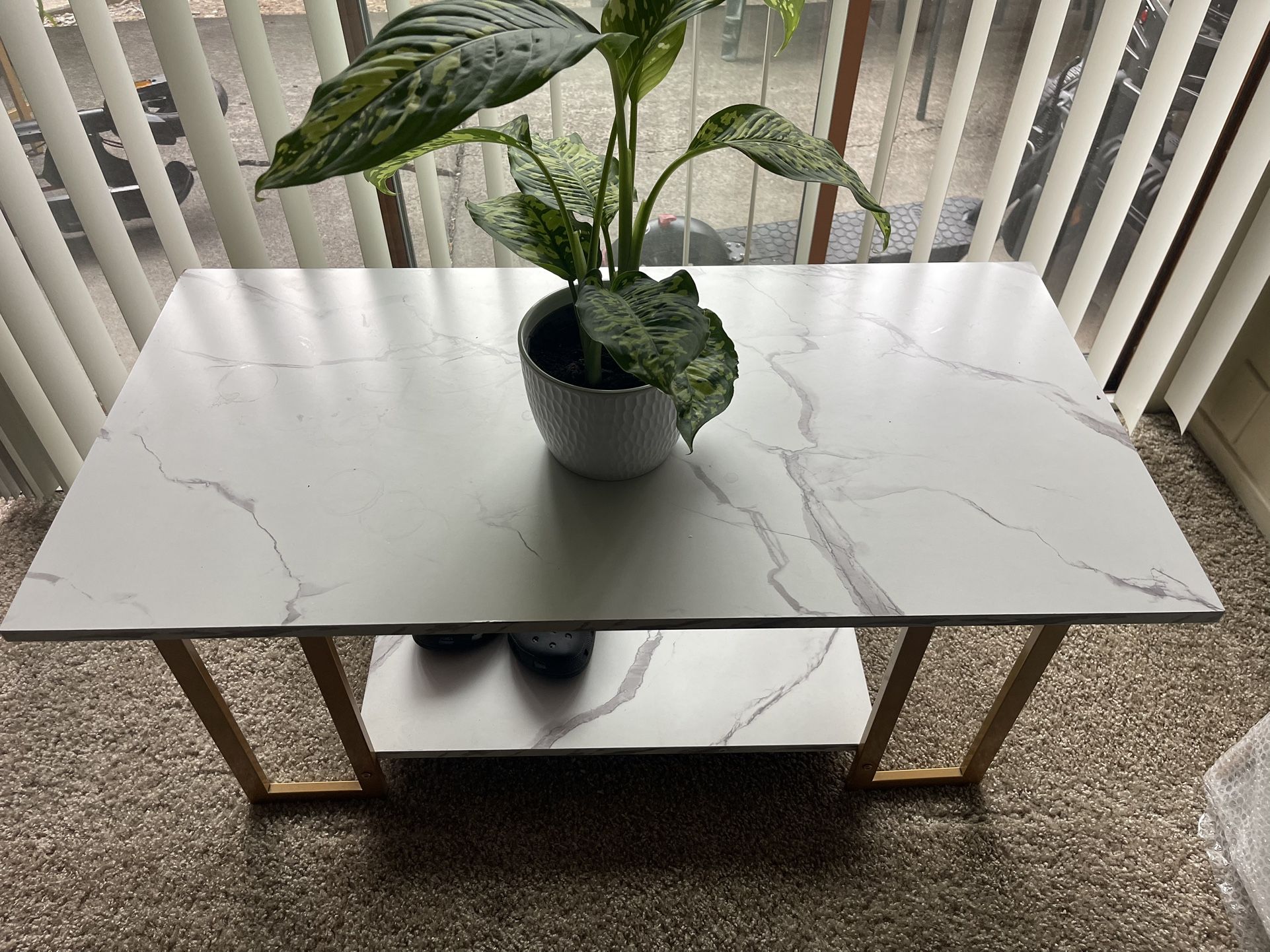 Living Room Coffee Table