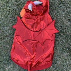 Halloween Dog Costum