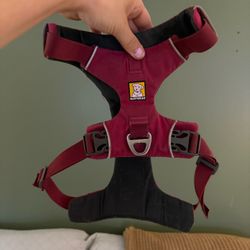 Ruffwear Dog harness 