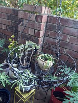 Metal Hanging planter For plants 