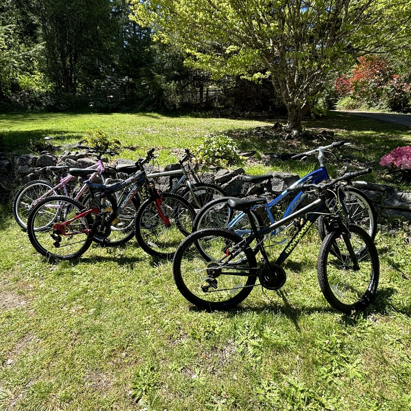 5 Mountain Bikes For Sale