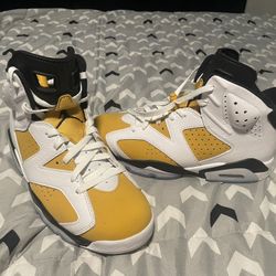 Jordan 6 “yellow Ochre” 