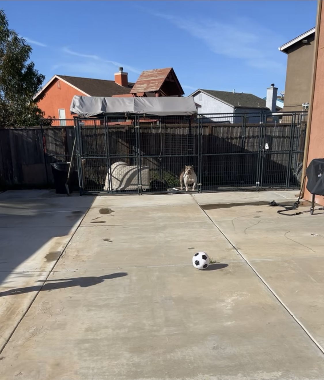 Retriever Dog Kennel