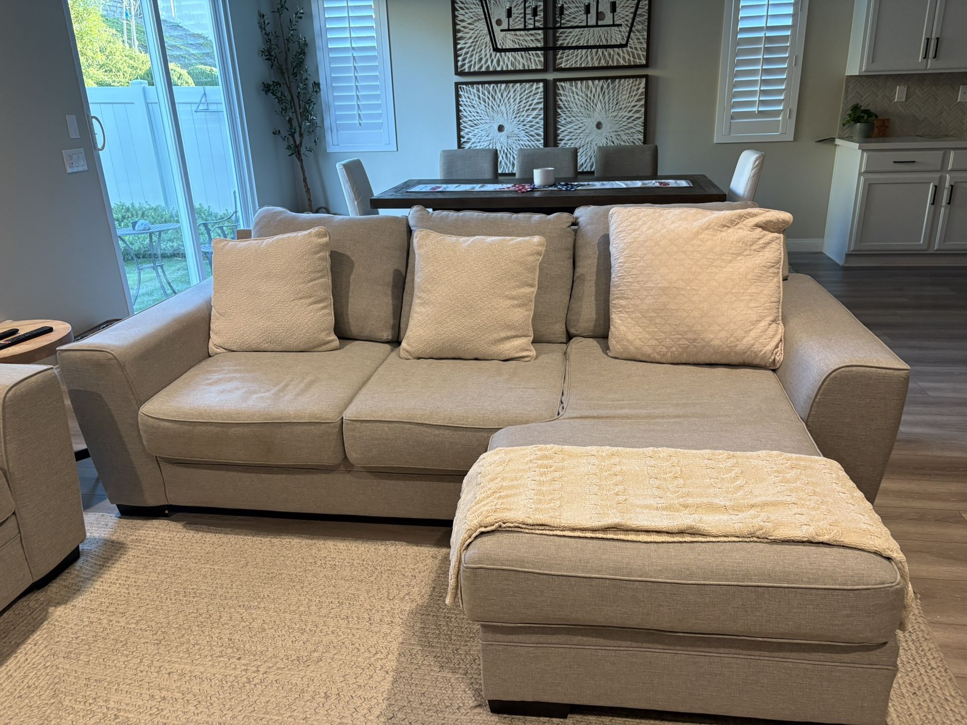 Couch With Pull Out Bed And Sofa