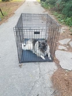 Large kennel