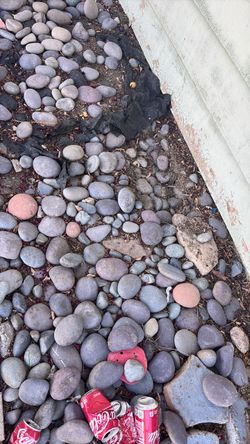 FREE Landscaping Pebbles & Rocks – You Gather & Haul