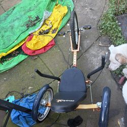 Mobo Triton Pro: The Ultimate 3-Wheeled Cruiser, Adult