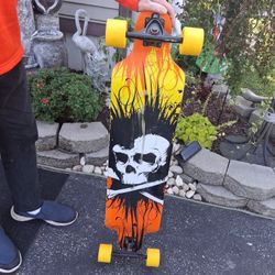 Long Board Skate Board 