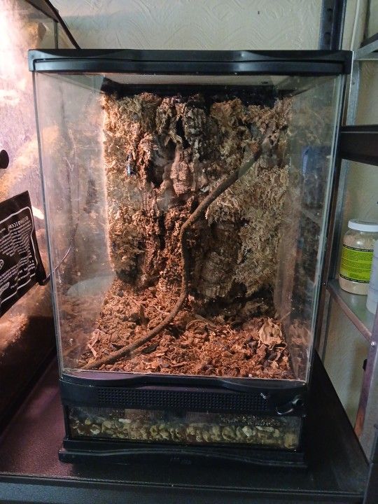 12x12x18 Zoo Med Terrarium
