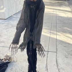 Halloween Decorations