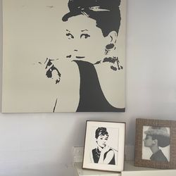 Audrey Hepburn collection art canvas frames