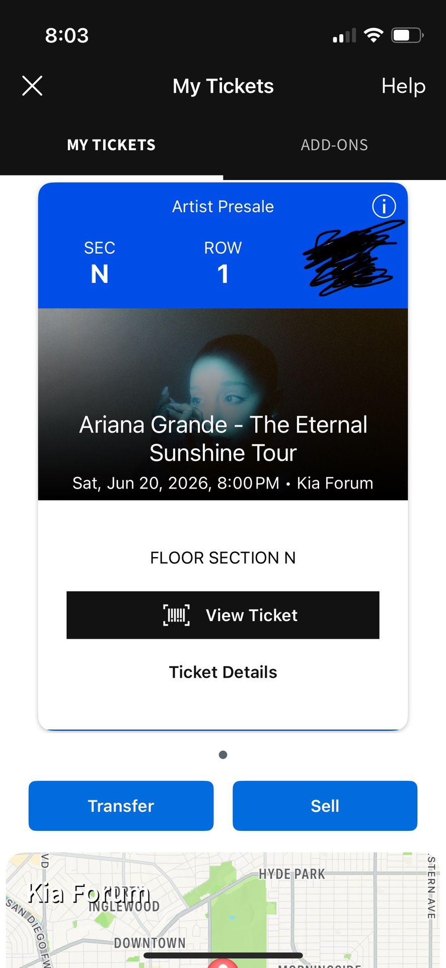 Ariana Grande Concert