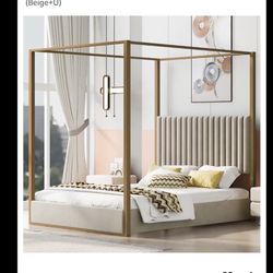 Queen Bed