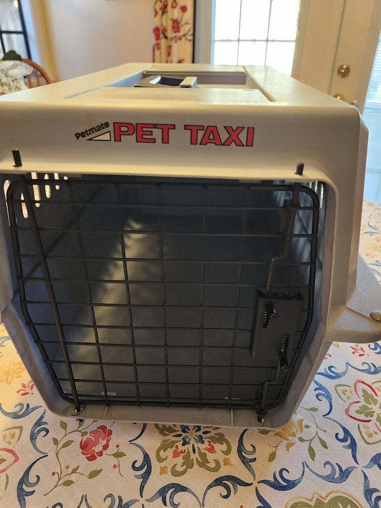 Small Pet Taxi