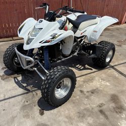 Suzuki Quad