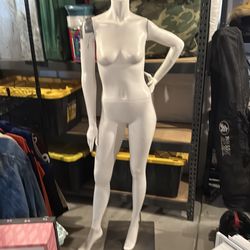 Manikin