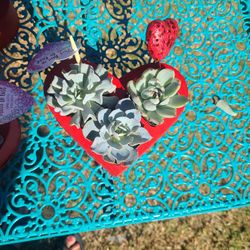 Valentine's Heart Shaped Plant Holder