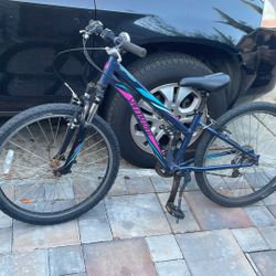 Specialized Bike/ Mountain Bike