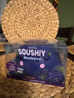 Jumbo Blueberry Squishy