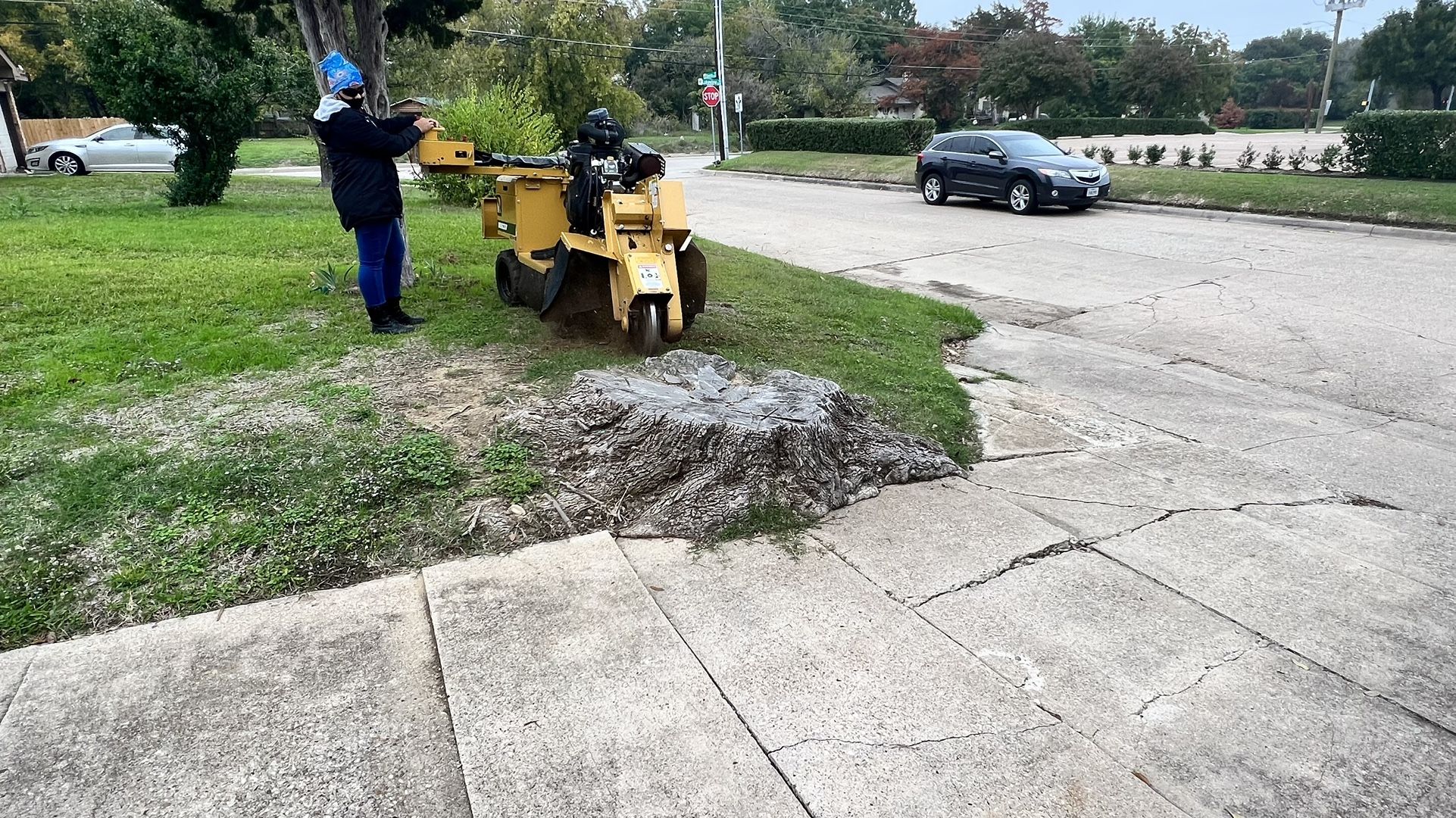 Stump Removal ππ―