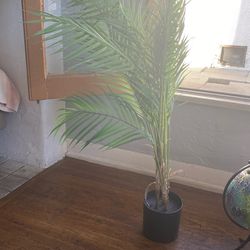 Moving Sale Fake Plants