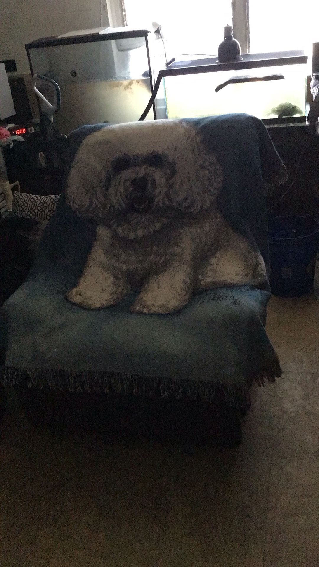 Linda Picken Bichon Frise Dog Breed Vintage 2002 Cotton Tapestry Afghan Throw.