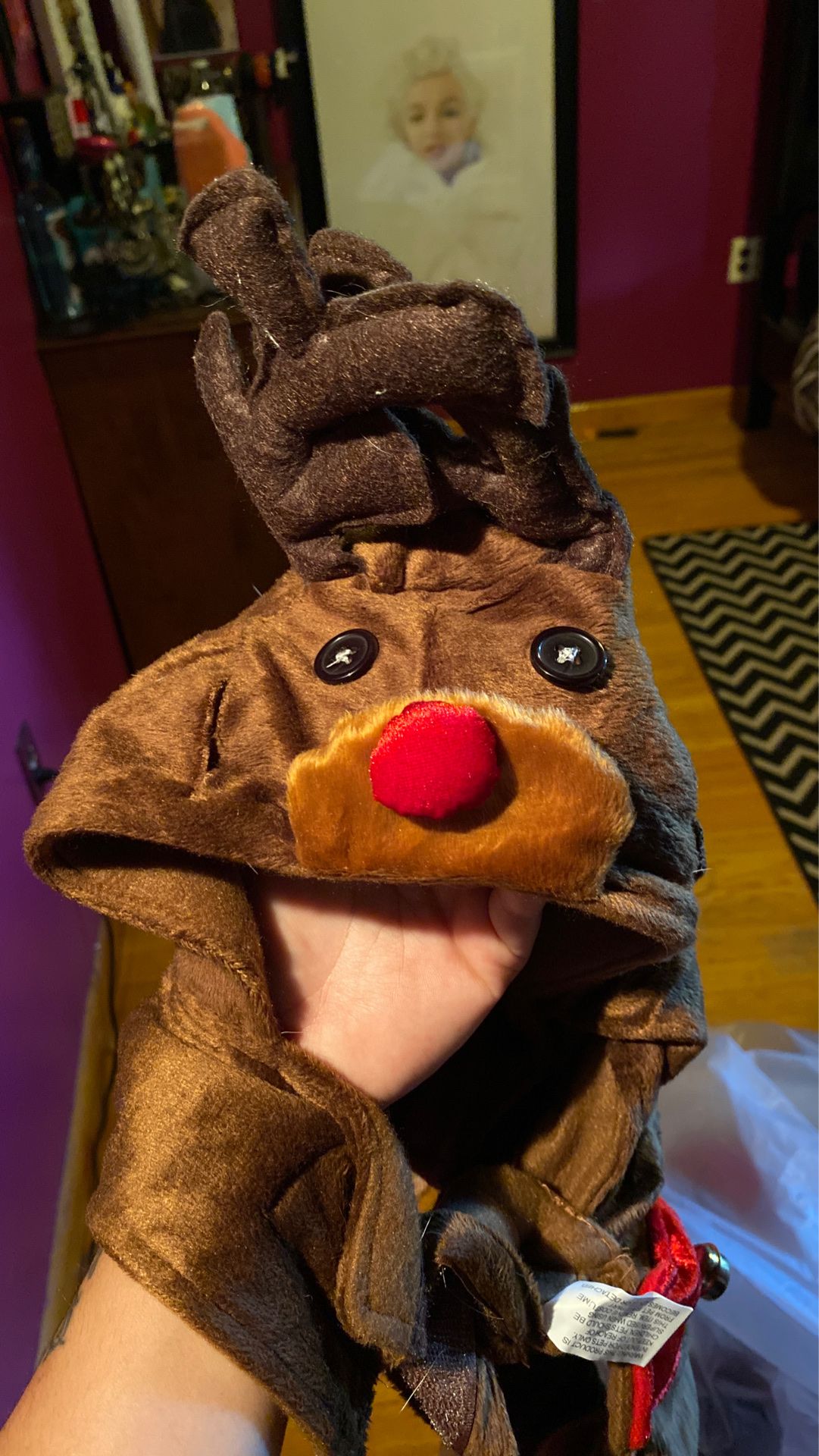 Dog costume size:L