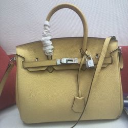 Hermes platinum bag
