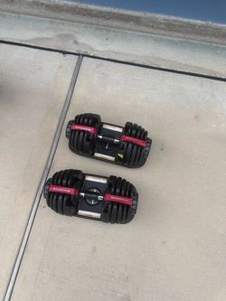 BowFlex SelectTech Dumbbells + Adjustable Bench - $450
