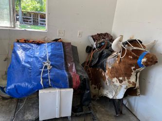 Toro mecánico/mechanical bull