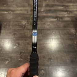 Daiwa Proteus EX Rod Conventional Rod