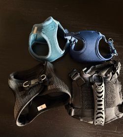 Pet harness