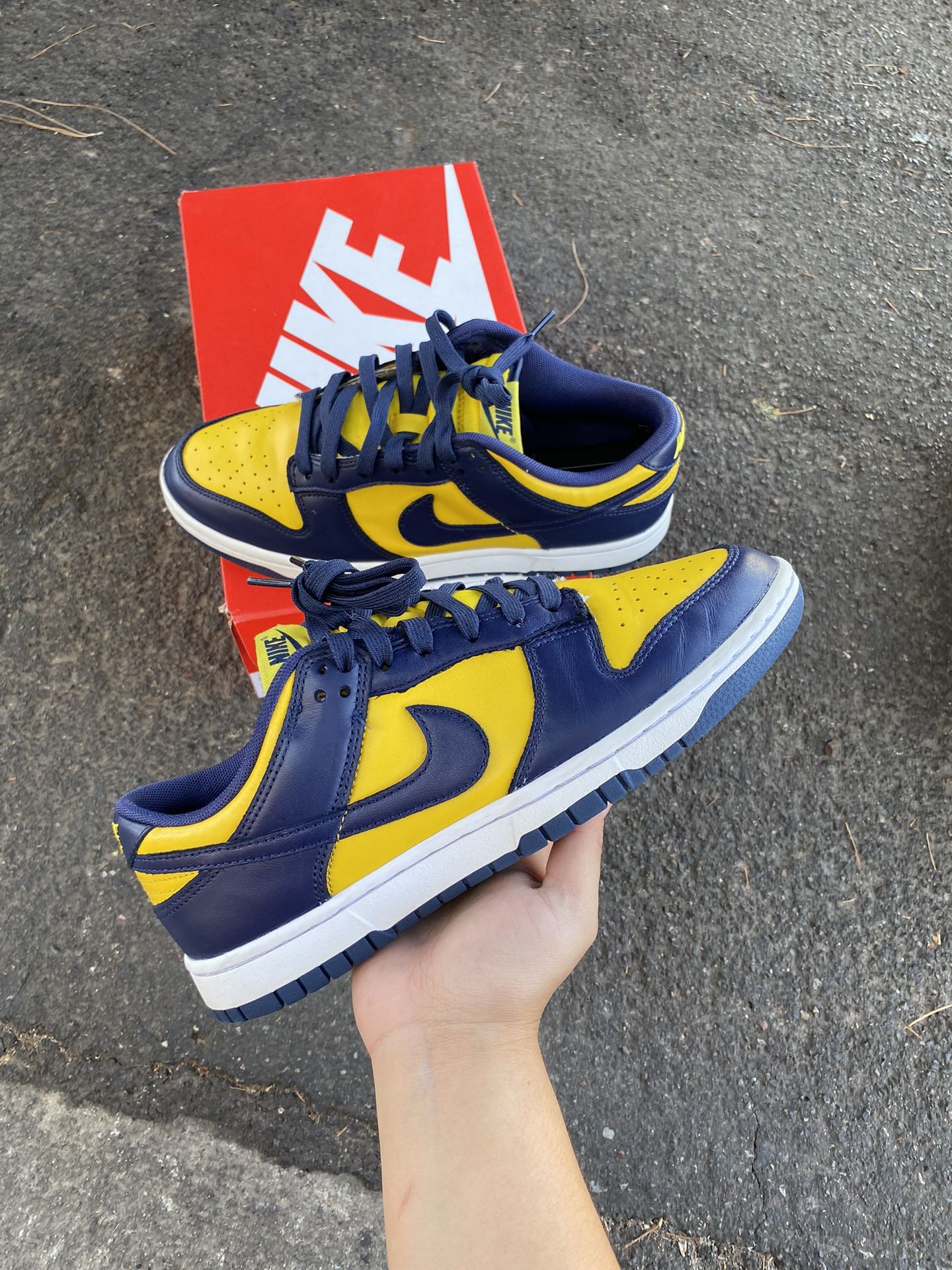 Nike Dunk Low Michigan