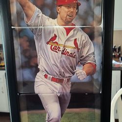 Mark McGwire - 4 Plate With Display By Bradford Exchange Baseball 