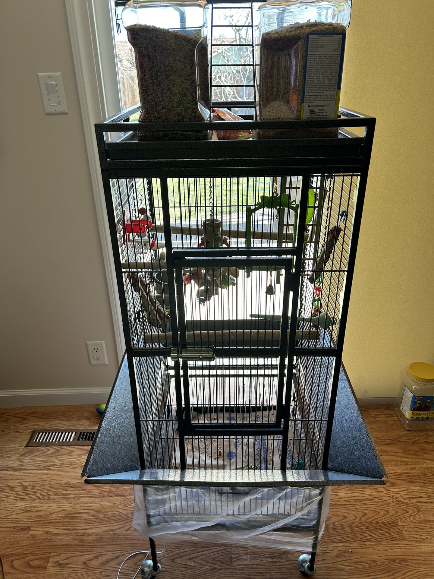 Parakeet Bird With The Cage For Free
