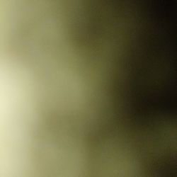 Name Brand Items 5.00 Each