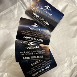 4 Sea World Tickets (received on a Rainy Day)