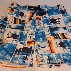 Men's Swim Trunks Shorts Size Large Zeroxposur 