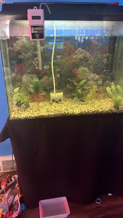 40 gallon with stand