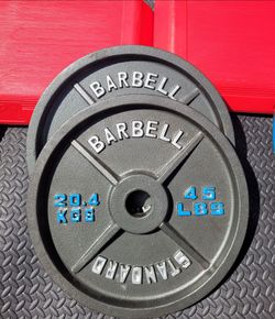 45lb Iron weight plate pair