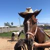 Pedro