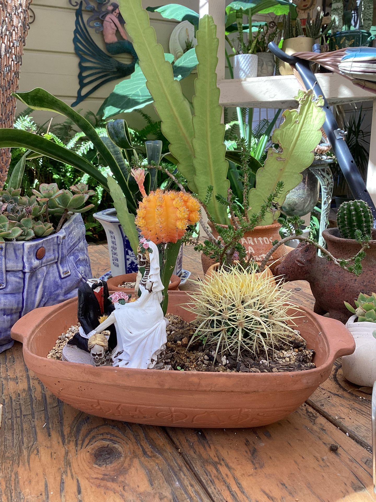 More Beautiful Plants In Unique. Containers