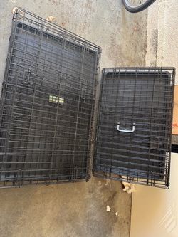 Kennels (large/medium)