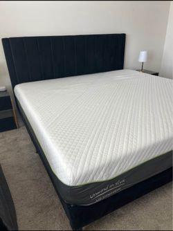 Timeless frames all sizes King queen twin full delivery available!