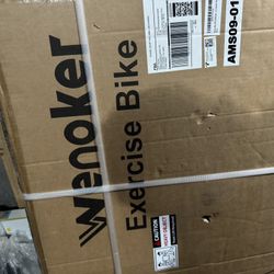 Wenoker Exercise Bike