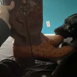 Lucchese Ostrich cowboy boots