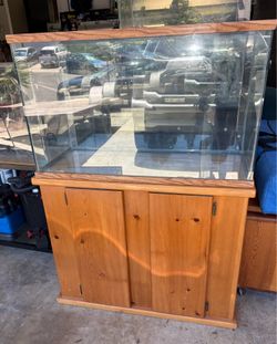 55 tall  tank with stand and filter