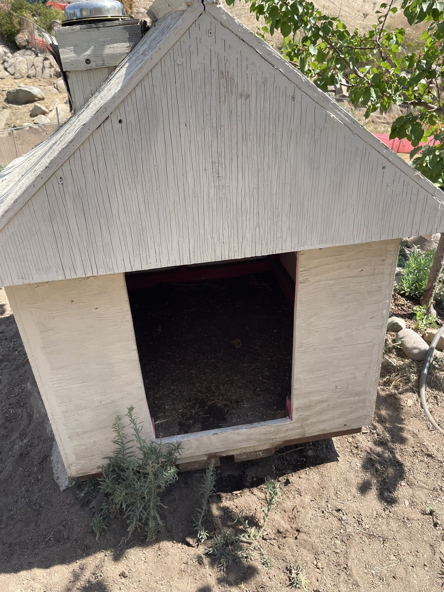 Dog House